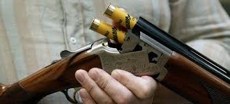 Την κυριακή 19 ιουλίου 2020, στην αρκίτσα φθιώτιδας, έλαβε χώρα ένα θανατηφόρο τροχαίο ατύχημα, όταν ένας 34χρονος, αλβανικής καταγωγής, έχασε τον έλεγχο του οχήματος του, κάτω από. E3ixniasthke H Dolofonia Toy Germanoy Kynhgoy Sthn Arkitsa F8iwtidas Paraskhnio Gr