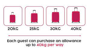 Babies less than 2 years old should buy an infant ticket. Things You Need To Know About Our Checked Baggage Policy