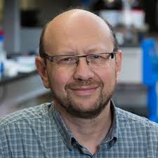 Translational Bio-Nanosciences Lab