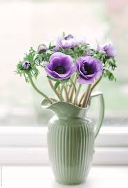 Find the right flower bulb for your garden whether you have acres of land or are creating a container garden on your balcony, the gardeners here at american meadows are 100% commited to your success. Purple Anemone Flowers In A Green Jug By Helen Rushbrook Anemone Purple