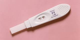 But How Do You Get Pregnant When You Re A Lesbian