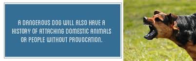 How long between dog bite and rabies. Dog Bites What You Need To Know Next Steps Kbg Injury Law