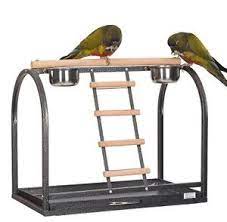 Cheap bird toys, buy quality home & garden directly from china suppliers:funny parrot bird perch stand play toys 100% brand new and high quality features: Rainforest Table Top Play Stand For Small Medium Parrots The Bird Loft