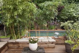 A word of caution when creating a living privacy screen: 20 Best Tall Plants For Container Gardens