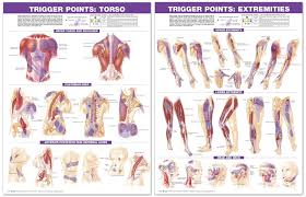 47 prototypic travell trigger point chart