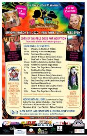 Maybe you would like to learn more about one of these? Woofstock And Adopt A Thon Community Foundation For Southern Arizona