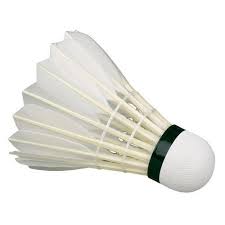 It is frequently shortened to shuttle. White Badminton Shuttlecock Rs 60 Box Ar Sports Industries Id 16034729688