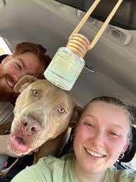 Rochester, NY ! Remember when ?