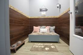 To help pets flourish and feel confident in their own fur. Wagging Lounge Dog Resort Dog Daycare And Boarding Dog Boarding