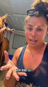 New Mare Reveal👀🐴