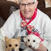 Bealer Family Obituaries