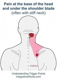 Pin On Rehab Exercises Upper