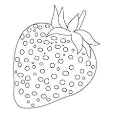 Our coloring pages are easy to print, and we have a large collection to choose from. Top 15 Strawberry Coloring Pages For Your Little One