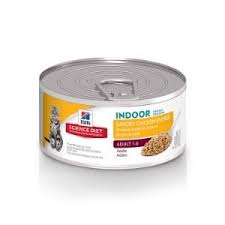 The 25 Best Wet Cat Foods Of 2019 Cat Life Today