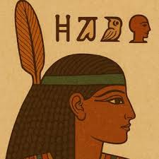 Sam Kamel Songs MP3 Download, New Songs & Albums