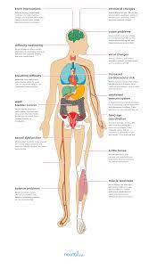 The Effects Of Multiple Sclerosis On Your Body