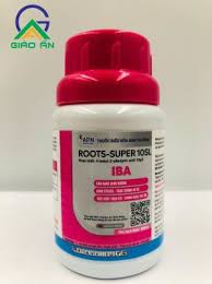 Roots-super 10SL