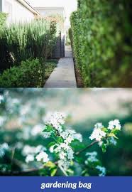 Gardening Bag 98 20181111120108 53 Dish Garden Pots Wholesale Printable Olive Garden Coupons Restaurant Garden News Minnesota Garden Olive Garden Coupons