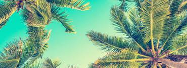 Key west, florida, united states. Boutique Hotel In The Heart Of Key West Westwinds Inn