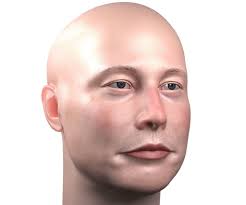 Musk has told the wall street journal that he wasn't joking and his tweets weren't vetted before he posted them. Elon Musk On Twitter Tesla Stock Price Is Too High Imo