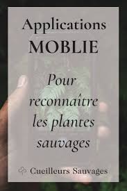 Les Meilleures Applications Mobile Pour Reconnaitre Les Plantes Sauvages Plantes Sauvages Plante Plantes Sauvages Comestibles