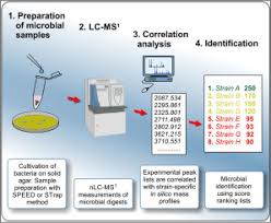 The next five digits represent the item's number. Identification Of Microorganisms By Liquid Chromatography Mass Spectrometry Lc Ms1 And In Silico Peptide Mass Libraries Molecular Cellular Proteomics