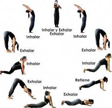 Yoga Is Everything About Harmonizing The Body With The Mind And Breath Through The Methods Of Various Breathing St Easy Yoga Workouts Yoga Asanas Yoga Postures
