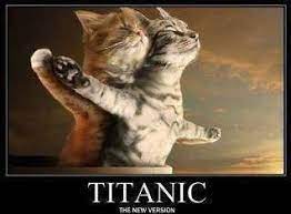 Aw Kitty Love Simpatici Animaletti Animali Divertenti Gattini Divertenti