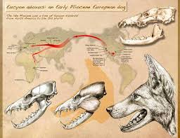 Image result for Leptocarydion