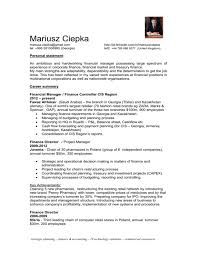 The resume uses the headline of senior finance executive with sub heading for treasury and finance management, investment management and strategic decision making. Qualifications Cv Template