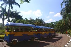 Sedangkan teknis pelaksanaannya bisa dilaksanakan perhari atau mau sekaligus satu. Cara Asyik Menikmati Kebun Binatang Ragunan Wego Indonesia Travel Blog