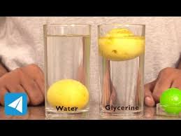 lemon sinks in water but floats on