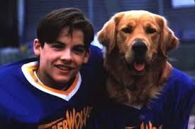 What did kevin zegers do as a child? Kevin Zegers Air Bud Golden Receiver Famousfix Com Post