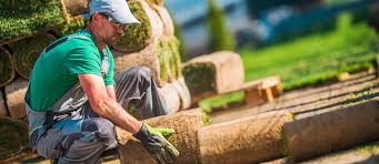 Use these tools to save time, get more done and bring in a stream of new leads. How To Become A Landscaper Salary Qualifications Skills Reviews Seek