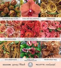We did not find results for: 43 Peach Coral Flowers Ideas Flowers Coral Flowers Beautiful Flowers