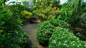 1:52 son ly 120 352 просмотра. The Secret Garden 1 Utama S Rooftop Tourism Malaysia Corporate Site