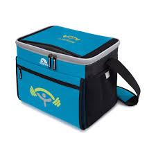 Igloo Akita Hard Lined Cooler 24 Cans