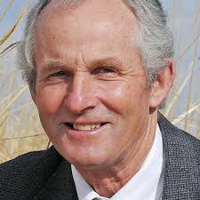 Green groups helped in primary elections