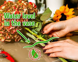 At green fresh florals + plants, we pride ourselves in delivering the freshest cut flowers to maximize the life of your arrangement, and the joy our. 10 Simple Ways To Keep Cut Flowers Fresh For Longer