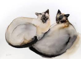 Red flame point siamese cat. Siamese Cats Painting By Agnes Bodor Saatchi Art