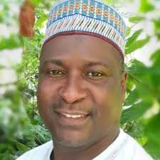 What if there are no trees.