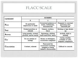 Image result for FLACC Scale