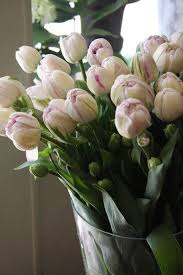 The Heartbook Beautiful Flowers Flower Arrangements White Flowers
