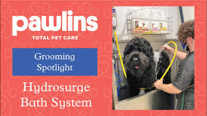 Total pet care is open seven days a week except on major holidays (new year's day, easter, 4th of july, christmas). Grooming Spotlight Hydrosurge Bath System 1 Minute Video Pawlins Total Pet Care New Orleans Youtube
