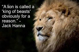 Discover the ultimate warrior famous and rare quotes. 33 Best Motivational Lion Quotes The King Lion Quotes Brilliantread Media