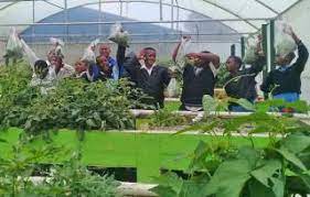 List Of Agricultural Colleges In South Africa South Africa Lists