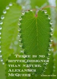10 Quotes On How Nature Inspires Creativity Nature Quotes Nature Lover Quotes Nature Inspiration