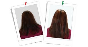 髪型が人の印象の8割を決めるってホント？ | 大島椿ヘアケアシリーズ