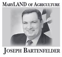 Cover Crops and Ice Cream Trails