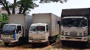 Jeb_ for a rainbow sheep (which changes colours). Menjaga Ekspedisi Cargo Darat Surabaya Jakarta Tetap Aman Selama Perjalanan Yosua Logistik